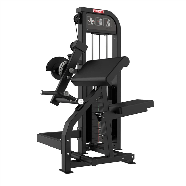 Biceps & Triceps Strength Machine factory